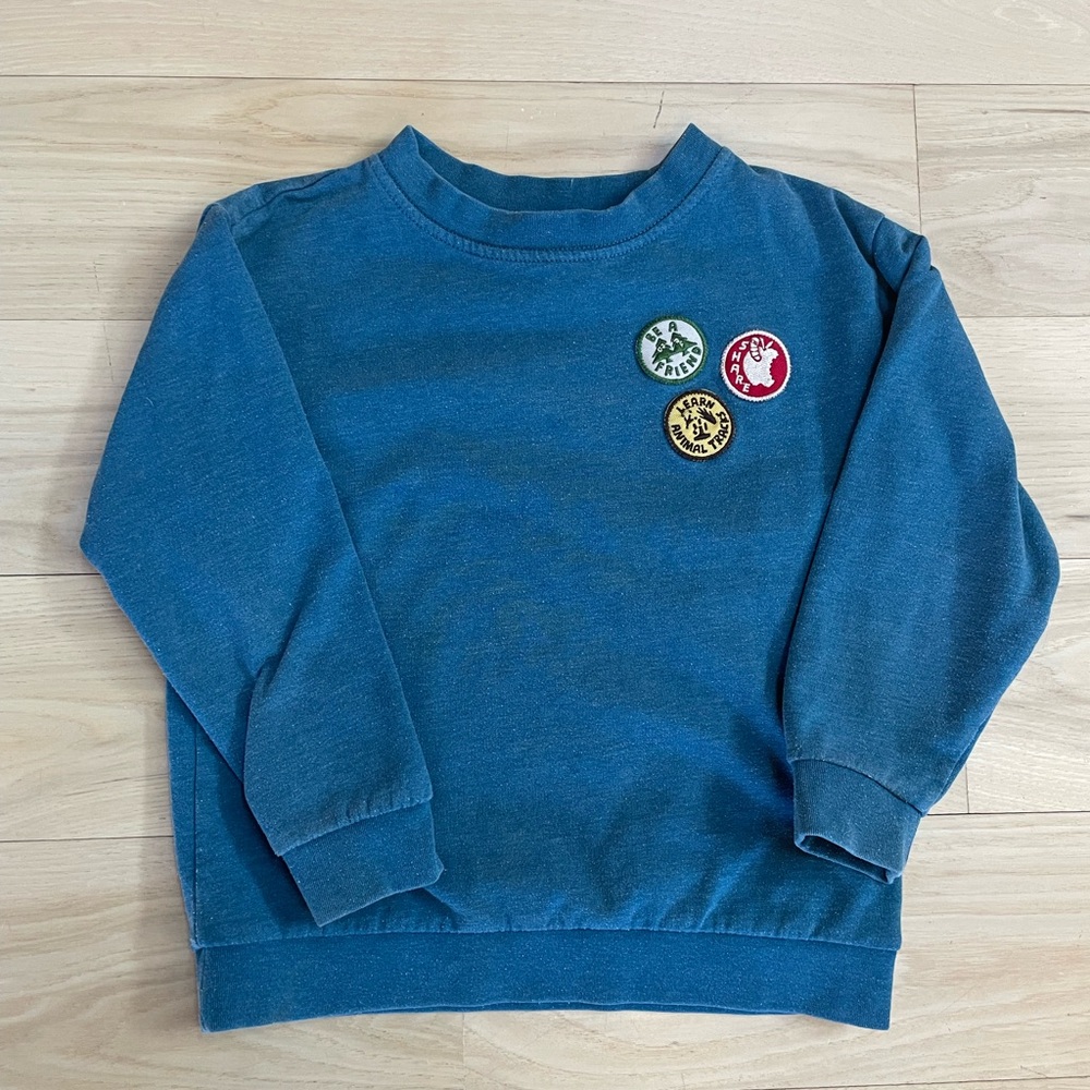 Patagonia Kids Blue Sweatshirt with Fun Patches - Size 5T